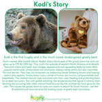 Load image into Gallery viewer, 2-Pack of Kodi the Grizzly Bear
